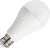 Bailey LED lamp peer E27 20W 2452lm warm wit 2700K niet dimbaar (142596)