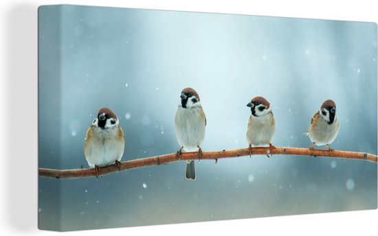 Canvas Schilderij Vogels - Mus - Sneeuw - Winter - Wanddecoratie