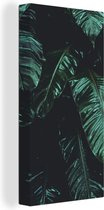 Canvas Schilderij Jungle - Palmboom - Bladeren - Tropisch - 20x40 cm - Wanddecoratie
