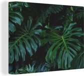 Canvas Schilderij Monstera - Bladeren - Tropisch - Jungle - 80x60 cm - Wanddecoratie