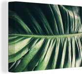 Canvas schilderij 160x120 cm - Wanddecoratie Bladeren - Tropisch - Jungle - Muurdecoratie woonkamer - Slaapkamer decoratie - Kamer accessoires - Schilderijen