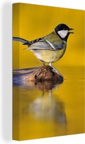 Tableau Peinture Mésange Charbonnière - Vogel - Water - 20x30 cm - Décoration murale