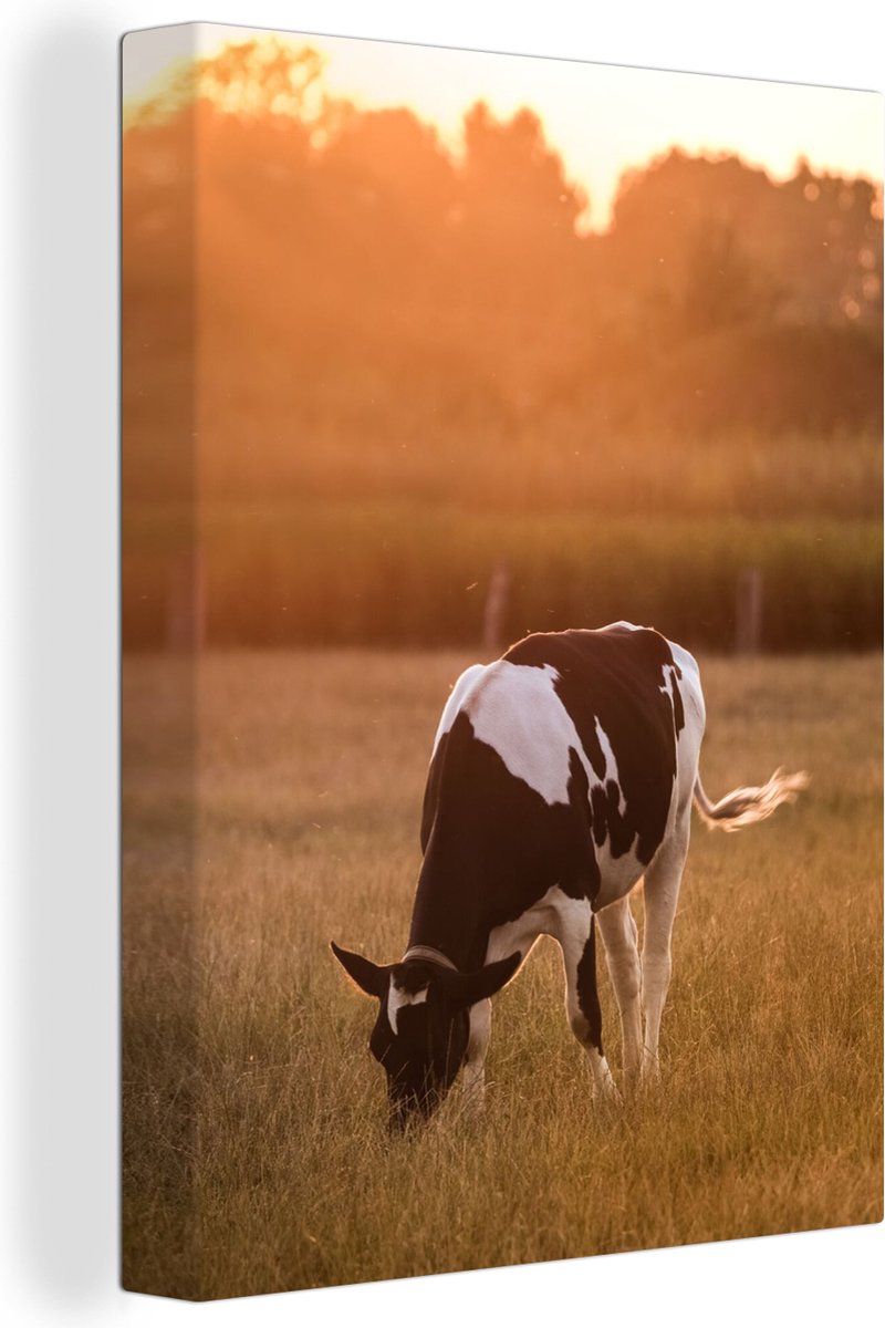 Tableau déco Taureau Vache Animaux Nature 40x80