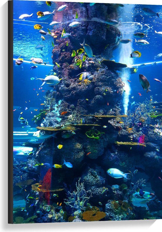 WallClassics - Canvas  - Prachtig Aquarium met mooie Vissen - 60x90 cm Foto op Canvas Schilderij (Wanddecoratie op Canvas)