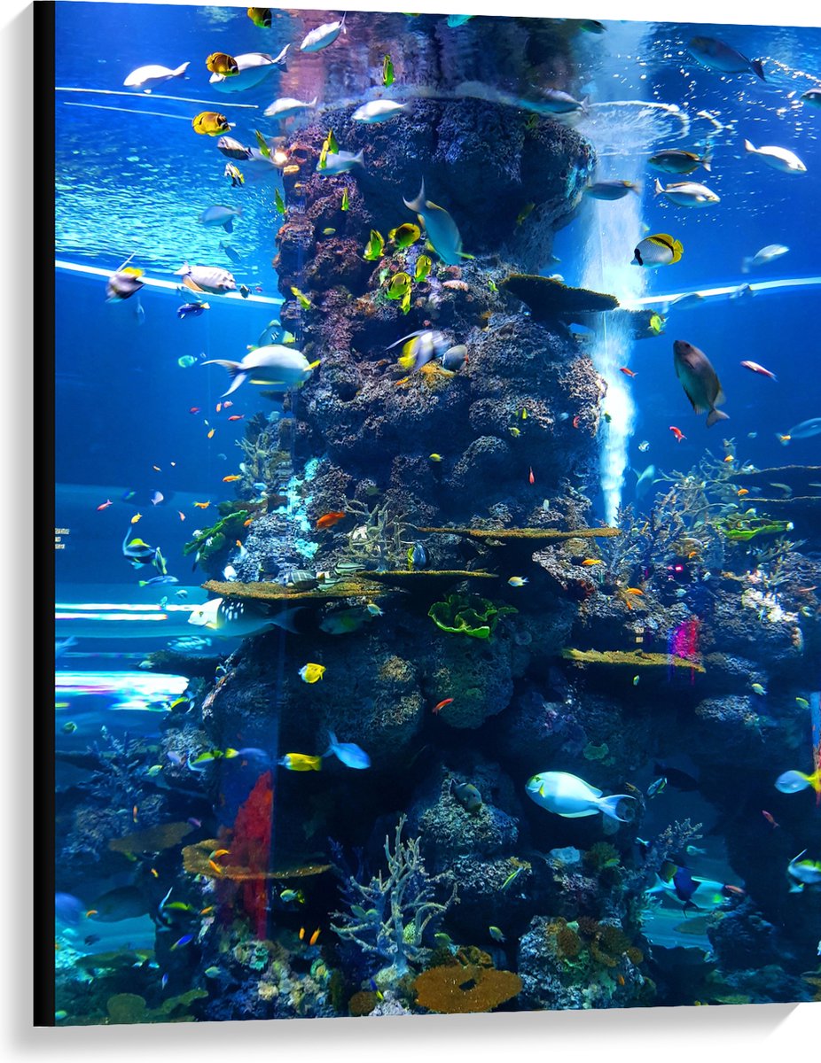 Canvas - Prachtig Aquarium met mooie Vissen - 75x100 cm Foto op Canvas Schilderij (Wanddecoratie op Canvas)