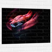 WallClassics - Muursticker - Rode Slang met Zwarte Achtergrond - 100x75 cm Foto op Muursticker