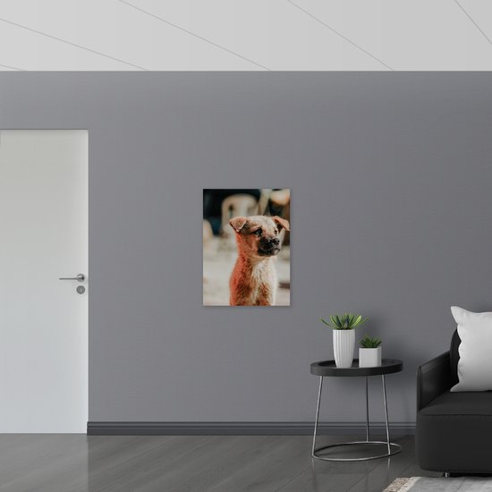 PVC Schuimplaat- Eenzame Puppy - 60x80 cm Foto op PVC Schuimplaat