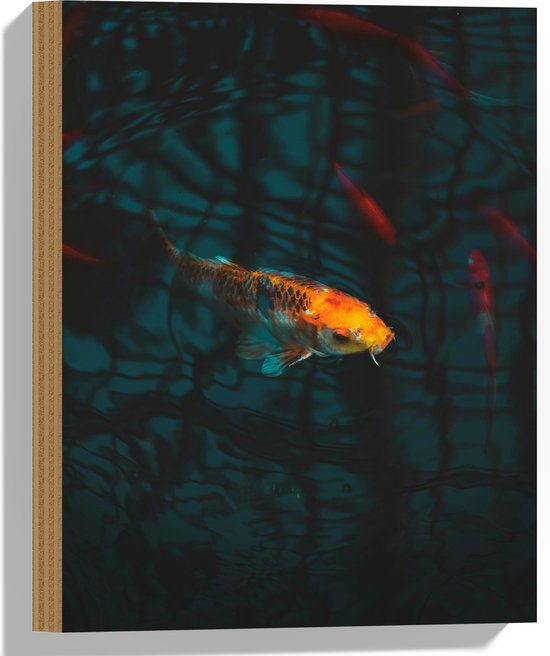 WallClassics - Hout - Oranje Koi in het Water - 30x40 cm - 12 mm dik - Foto op Hout (Met Ophangsysteem)