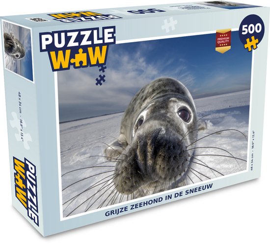 Puzzel zeehond in de sneeuw