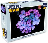 Puzzel Hortensia-close-up - Legpuzzel - Puzzel 1000 stukjes volwassenen