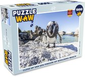 Puzzel Close-up van een Pinguïn op Boulders Beach - Legpuzzel - Puzzel 1000 stukjes volwassenen
