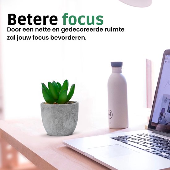 Groen kunstvetplantje in een grijze pot op een bureau naast een laptop. "Betere focus, Door een nette en gedecoreerde ruimte zal jouw focus bevorderen".