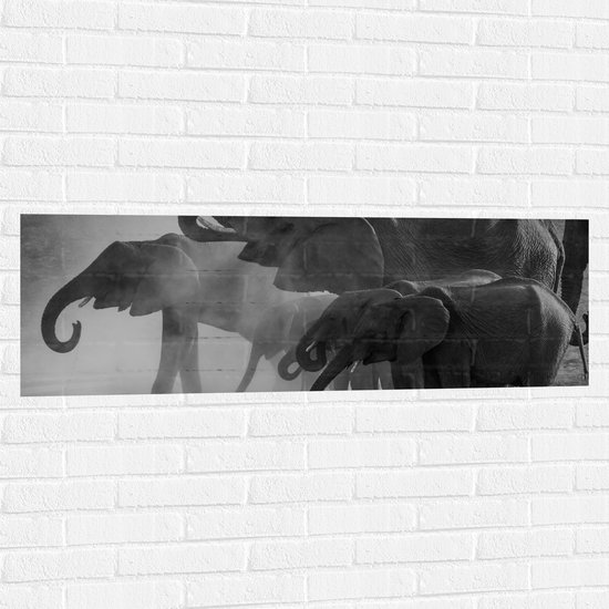 WallClassics - Muursticker - Olifanten aan een Meer Zwart / Wit - 120x40 cm Foto op Muursticker