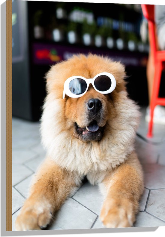 WallClassics - Hout - Coole Hond met Zonnebril - 50x75 cm - 12 mm dik - Foto op Hout (Met Ophangsysteem)