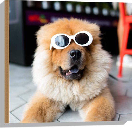 WallClassics - Hout - Coole Hond met Zonnebril - 50x50 cm - 12 mm dik - Foto op Hout (Met Ophangsysteem)
