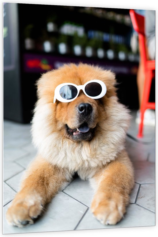 WallClassics - PVC Schuimplaat - Coole Hond met Zonnebril - 100x150 cm Foto op PVC Schuimplaat (Met Ophangsysteem)