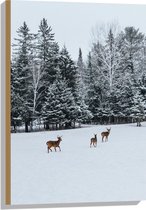 WallClassics - Hout - Herten Wandelend in de Sneeuw - 50x75 cm - 12 mm dik - Foto op Hout (Met Ophangsysteem)