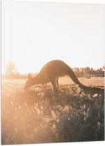 WallClassics - Vlag - Kangeroe bij Zonsopkomst - 70x105 cm Foto op Polyester Vlag