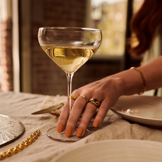 Libbey Iduna Champagneglazen - 300 ml - 6 stuks - Elegant - Hoge kwaliteit - Vaatwasserbestendig