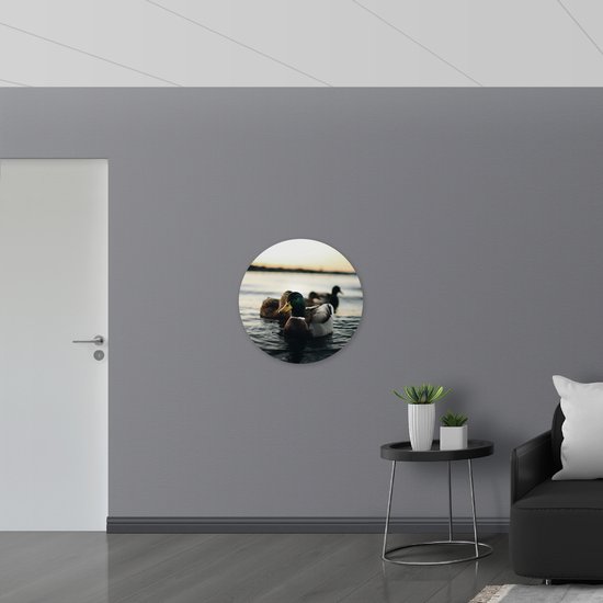 WallClassics - Cercle mural en panneau de mousse PVC - Canards dans l' Water - Photo 70 x 70 cm sur cercle mural (avec système de suspension)