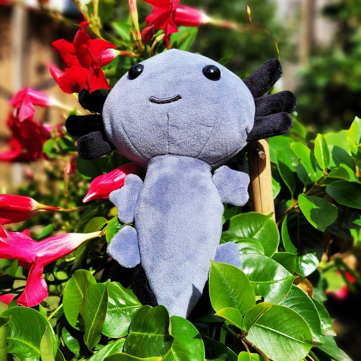 Axolotl Knuffel - Axolotl Plushy - 17cm - Zwart