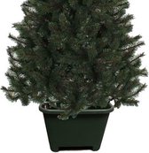 Vierkante kerstboomvoet groen voor een echte kerstboom - Kerstboomstandaards
