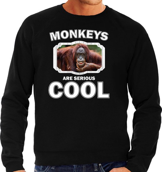 Dieren apen sweater zwart heren - monkeys are serious cool trui - cadeau sweater gekke orangoetan / apen liefhebber M