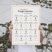 La Carte des Vins Poster Druivenrassen