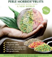 Perle Morbide- Groen Fruit- 1KG- Vogelvoer