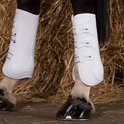 Witte peesbeschermers met geperforeerd patroon en gouden gespen om de benen van een paard.