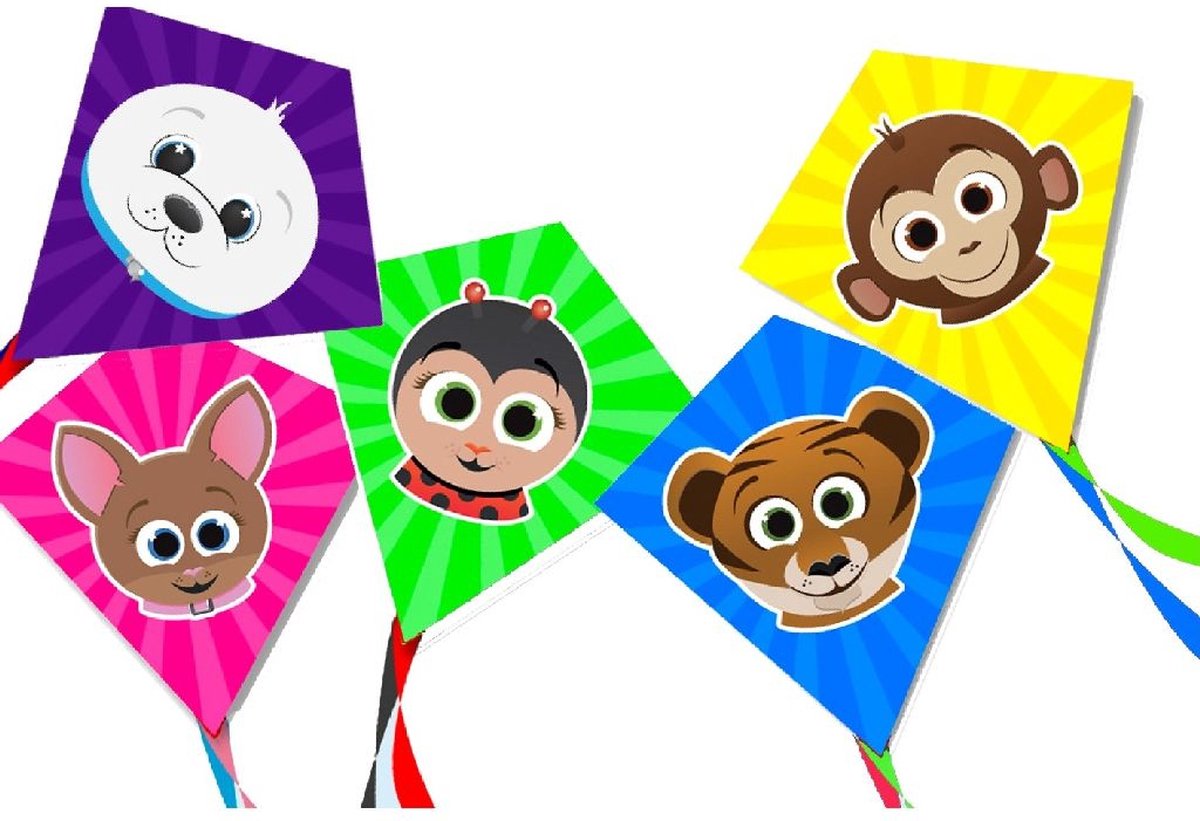 Rhombus Skyfriends Junior Vlieger Assorti