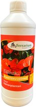 Ferrarium kamerplanten voeding 0,5 L - Gemaakt door sociale werkplaats - 100% Vegan - 100% Gemaakt in Nederland - plantenvoeding voor kamerplanten - universele plantenvoeding - voeding voor kamerplanten - voeding voor tropische planten