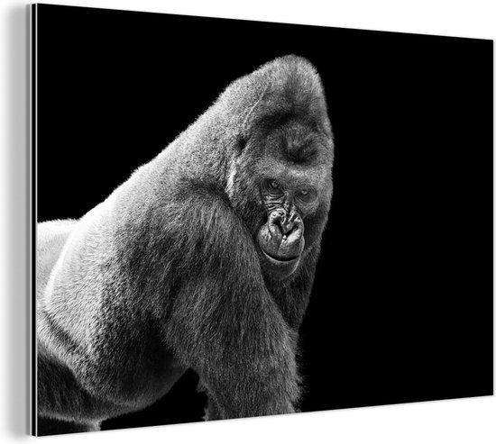 Wanddecoratie Metaal - Aluminium Schilderij Industrieel - Een schitterende Gorilla kijkt naar beneden - 30x20 cm - Dibond - Foto op aluminium - Industriële muurdecoratie - Voor de woonkamer/slaapkamer