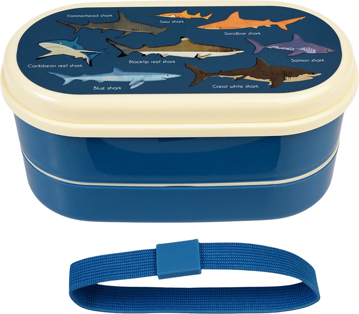 Rex London - Bento - Lunch box - Sharks print