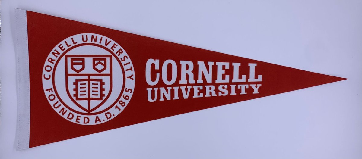 Cornell University - University of Cornell - Cornell Uni - Vaantje - Sportvaantje - Wimpel - Vlag - Pennant - Ivy League amerika - 31 x 72 cm - Cadeau sport - Cadeau - Cornell logo - andy bernard - bernard cornell - the office us - the office cornell