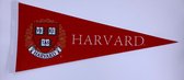 Harvard University - Harvard - NCAA - Vaantje - American Football - Sportvaantje - Wimpel - Vlag - Pennant - Universiteit - Ivy League amerika - 31 x 72 cm