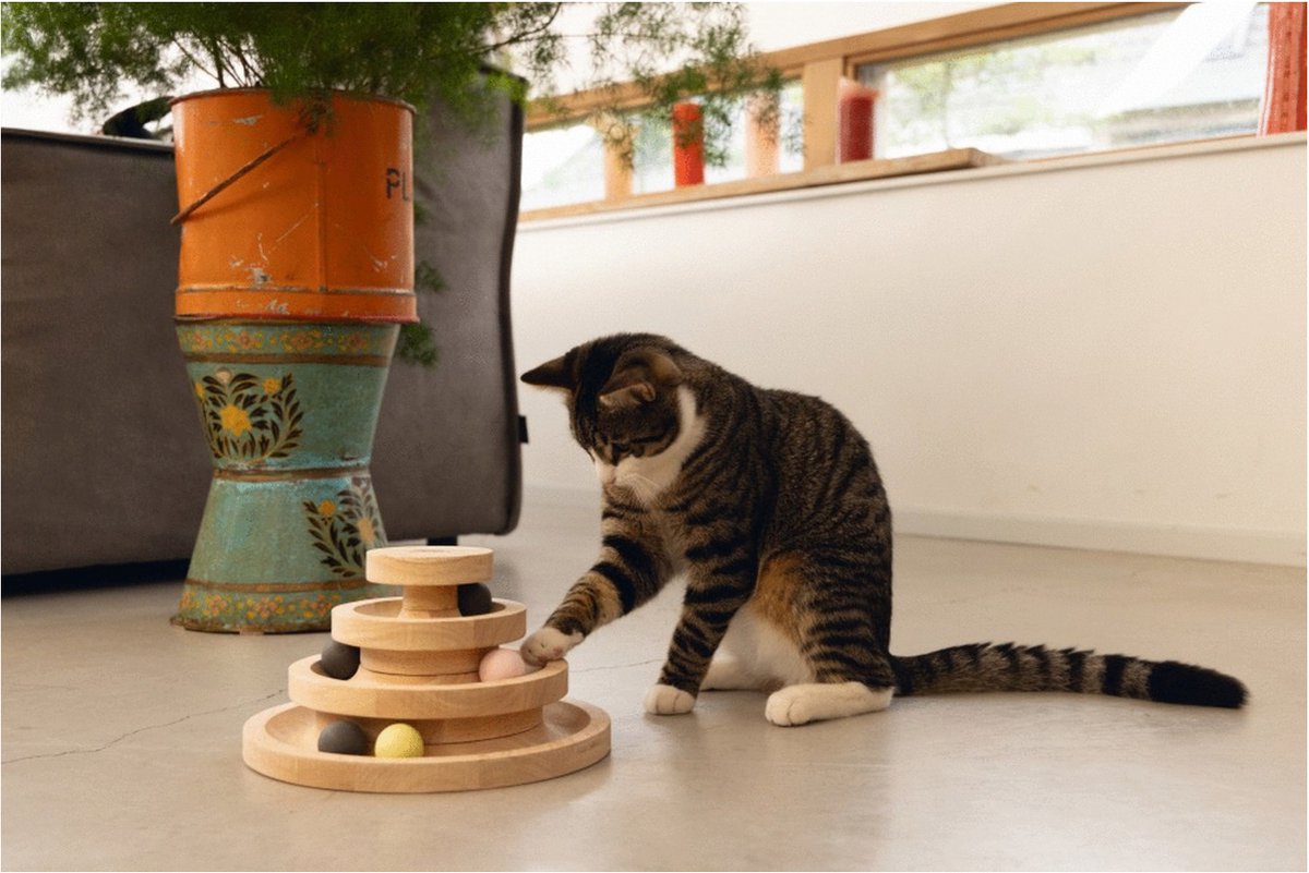 Designed by Lotte Speeltoren Mia - Kattenspeelgoed - Hout - Bruin - 26x26x14,5 cm — afbeelding 4