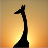 WallClassics - Poster Glanzend – Silhouette van Giraf voor Zonsondergang - 50x50 cm Foto op Posterpapier met Glanzende Afwerking