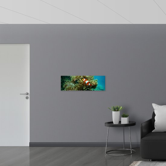 WallClassics - Panneau de mousse PVC - Poisson-clown au corail - Photo 90x30 cm sur panneau de mousse PVC