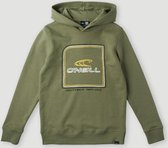 O'Neill Sweatshirts Boys ALL YEAR HOODIE Deep Lichen Green 140 - Deep Lichen Green 70% Cotton, 30% Recycled Polyester