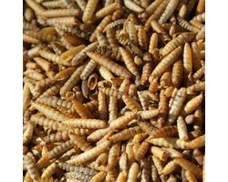 Nutriworms - Larve Zwarte Soldaatvlieg - 35,7 Liter - 5KG - Buitenvogelvoer