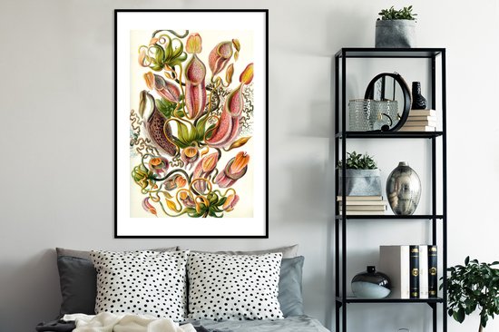 Affiche avec cadre Design - Botanique - plant carnivore - Ernst Haeckel - 80x120 cm