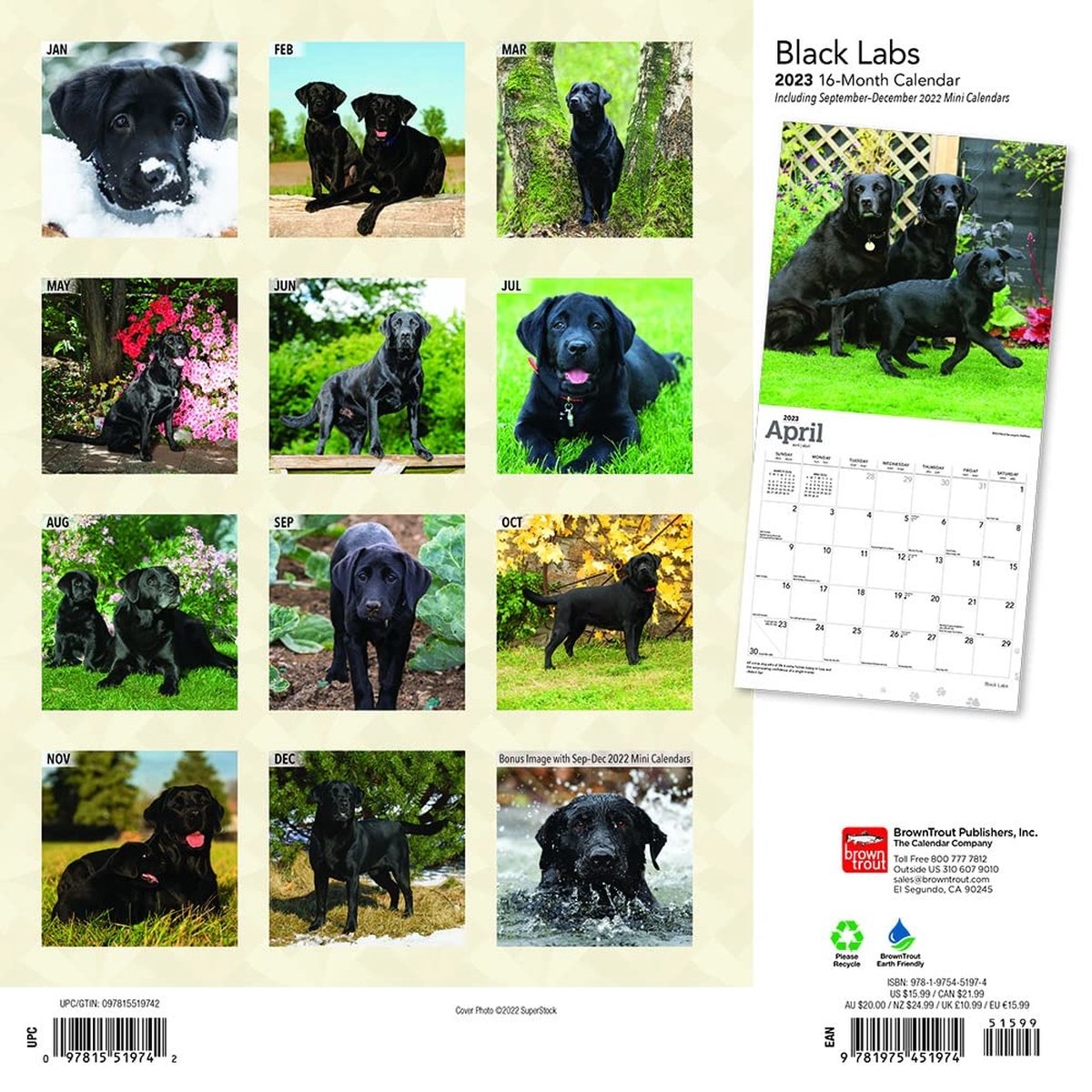 Labrador Retriever Zwart Kalender 2023  bol.com