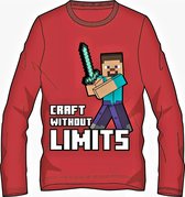 Minecraft T-shirt Lange Mouw - Maat 116 - 6 jaar