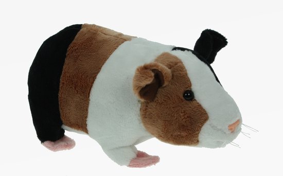 circulatie oplichter Antipoison Pluche knuffel dieren Cavia bruin/wit van 20 cm - Speelgoed huisdieren  knuffels -... | bol.com