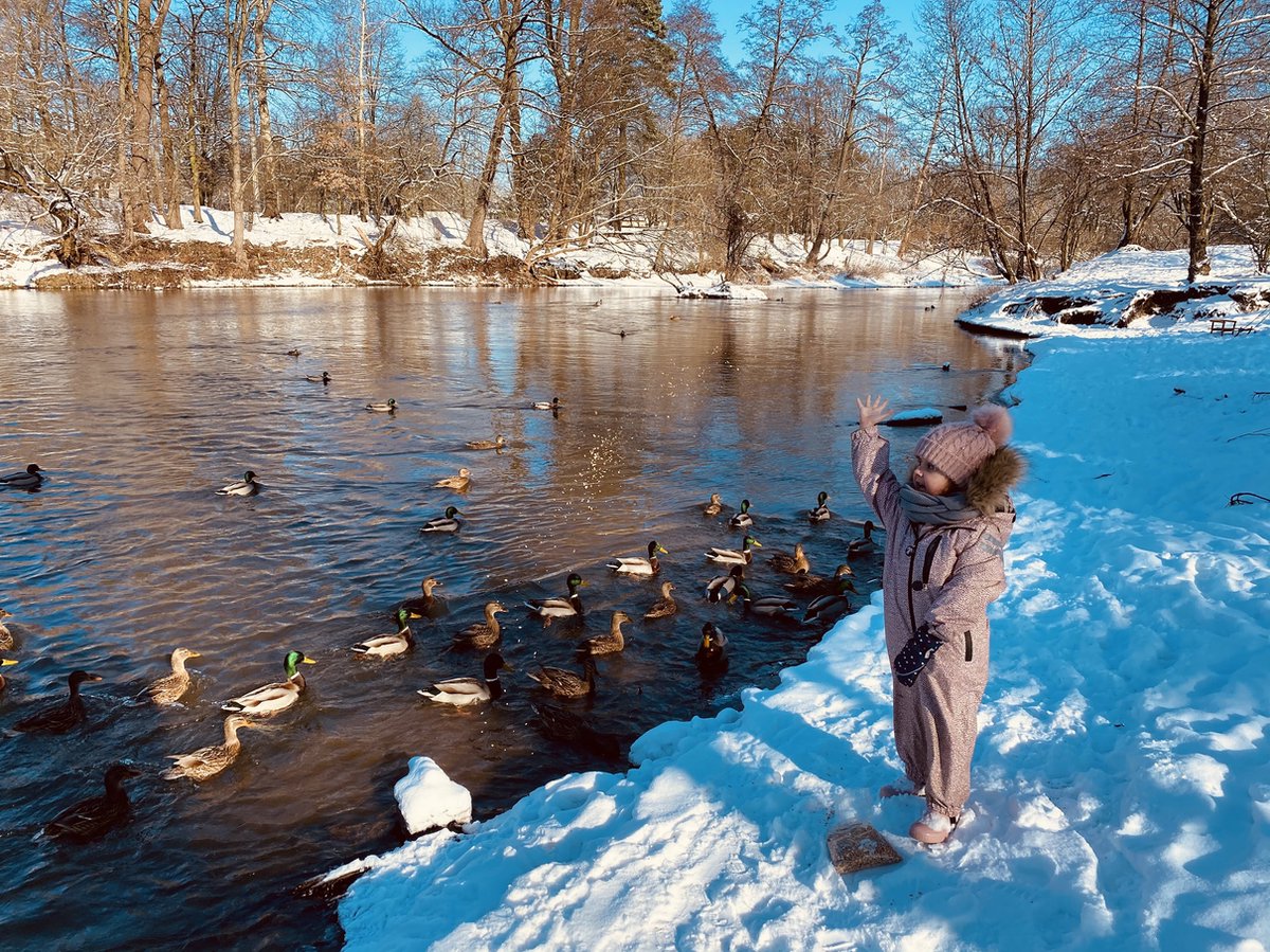 Ducksday - regenpak voor kinderen - meisje - June — afbeelding 13