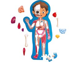 foto van Hape puzzel Menselijk Lichaam - 60 stukjes