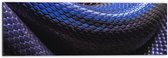 WallClassics - Dibond - Blauw Paarse Slangenhuid - 60x20 cm Foto op Aluminium (Met Ophangsysteem)