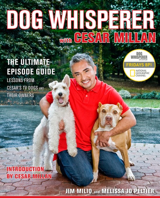 Cesar Millan met een witte terriër en een pitbull. Titel: Dog Whisperer met Cesar Millan.