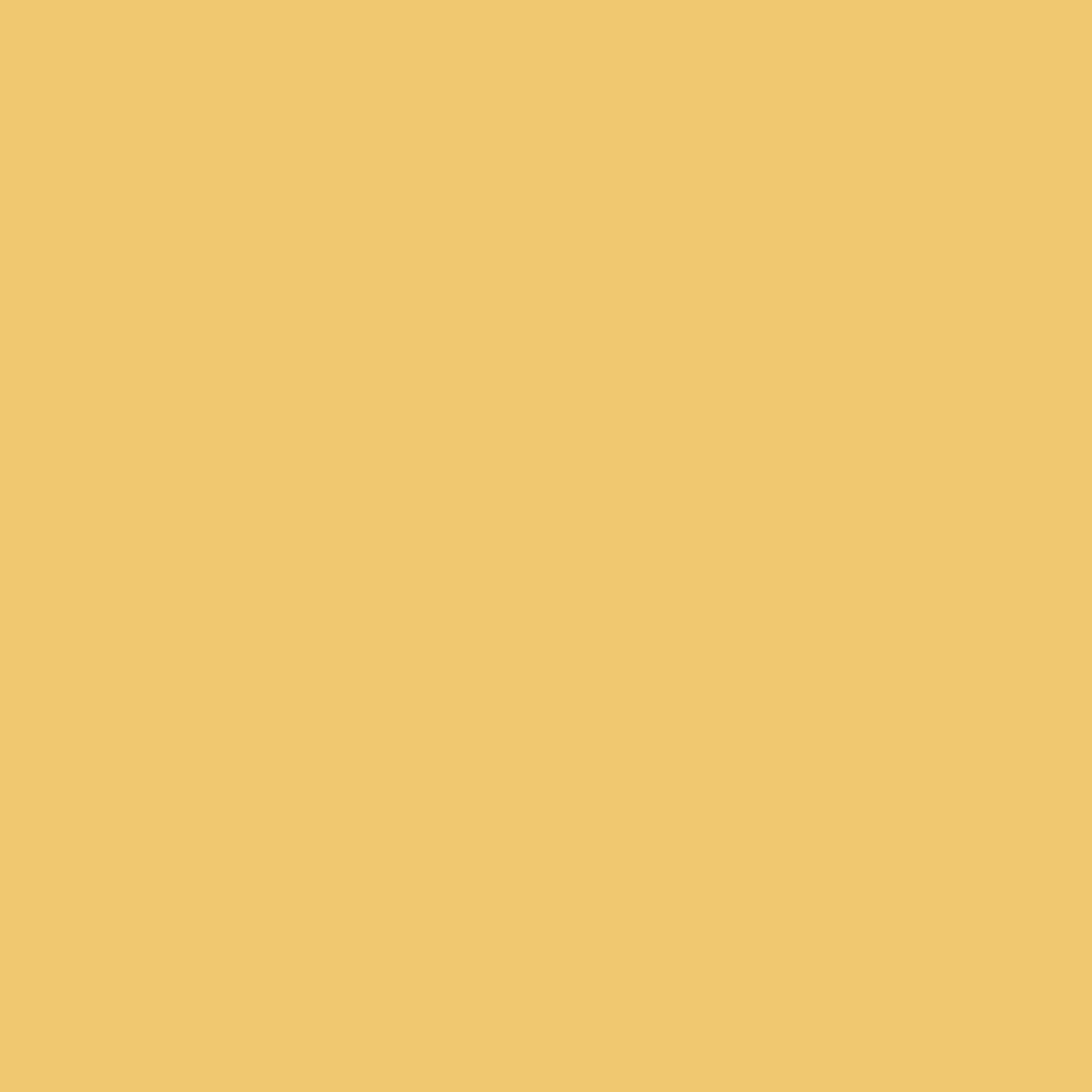 Flexa | Creations Lak Zijdeglans | Sunny Yellow - Kleur van het jaar 2008 | 500ML
